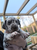 IMG_20250203_154855_web