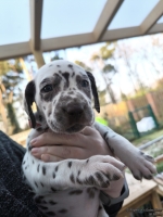 IMG_20250203_154904_web