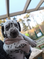 IMG_20250203_154905_1_web