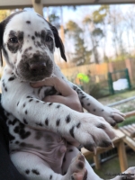 IMG_20250203_154918_web