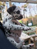 IMG_20250203_154922_web