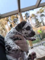 IMG_20250203_154923_1_web