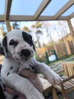 IMG_20250203_154929_web