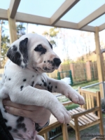 IMG_20250203_154930_web