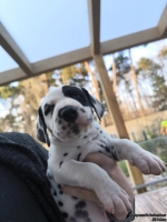 IMG_20250203_154933_1_web