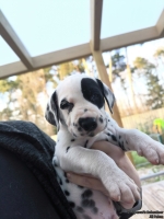 IMG_20250203_154933_web