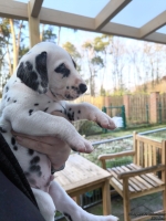 IMG_20250203_154935_1_web