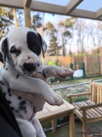 IMG_20250203_154935_web