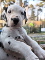 IMG_20250203_154944_web