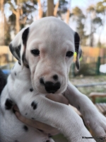 IMG_20250203_154945_web