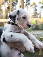 IMG_20250203_154946_web