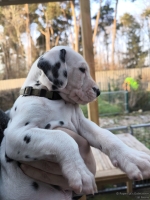 IMG_20250203_154947_web