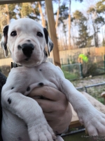 IMG_20250203_154950_web