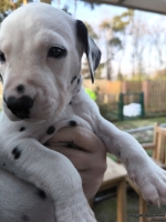 IMG_20250203_154951_web