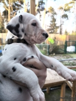 IMG_20250203_154952_web