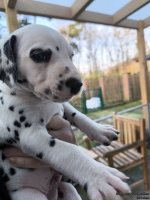 IMG_20250203_155007_web