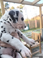 IMG_20250203_155009_web