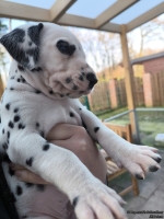 IMG_20250203_155010_web