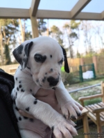 IMG_20250203_155015_web