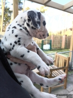 IMG_20250203_155017_web