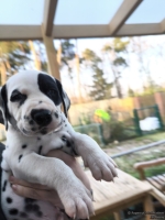 IMG_20250203_155029_web