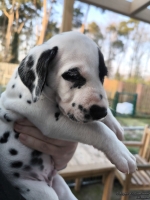 IMG_20250203_155031_1_web