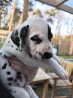 IMG_20250203_155031_web