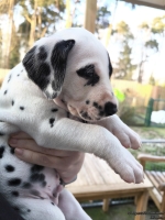 IMG_20250203_155032_web