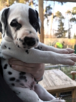 IMG_20250203_155035_web