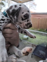 IMG_20250203_155056_web