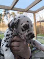 IMG_20250203_155058_web