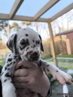 IMG_20250203_155059_web