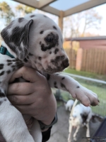 IMG_20250203_155102_web