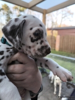 IMG_20250203_155103_web