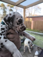 IMG_20250203_155104_web