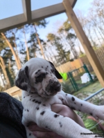 IMG_20250203_155115_web