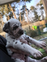 IMG_20250203_155118_web