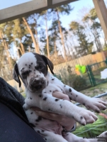 IMG_20250203_155119_web