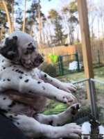 IMG_20250203_155120_web