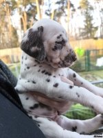 IMG_20250203_155126_web