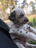 IMG_20250203_155127_web