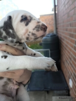 IMG_20250203_155224_web