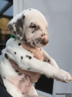 IMG_20250203_155229_web