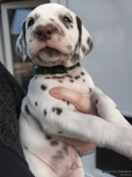 IMG_20250203_155233_1_web