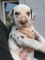 IMG_20250203_155233_web