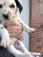 IMG_20250203_155247_web