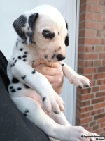 IMG_20250203_155248_web