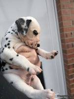 IMG_20250203_155250_web