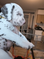 IMG_20250203_161231_web