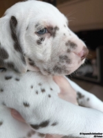 IMG_20250203_161255_web